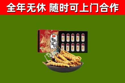 五家渠回收冬虫夏草价格
